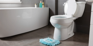 Best Toilet Bowl Cleaner for Bathroom Odor Control