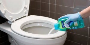 Best Toilet Bowl Cleaner for New Homeowners