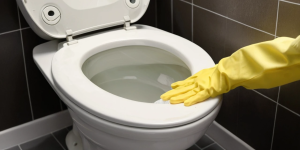 How to Clean Toilet Bowls the Right Way Using Cleaner
