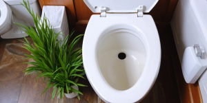How to Clean Your Toilet Bowl Using Only Natural Ingredients