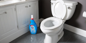 How to Clean Your Toilet Bowl Without Harsh Chemicals