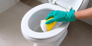 How to Clean Your Toilet Bowl with Eco-Friendly Cleaner