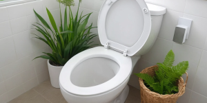 How to Clean Your Toilet Bowl with Natural Ingredients