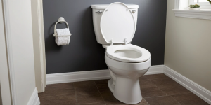 How to Get Rid of Toilet Bowl Stains Using the Right Cleaner