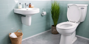 How to Keep Your Toilet Bowl Clean and Fresh All Year Round