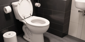 How to Keep Your Toilet Bowl Clean with Minimal Effort