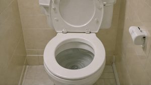 How to Keep Your Toilet Bowl Fresh and Clean with Regular Cleaner Use