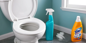 How to Keep Your Toilet Smelling Fresh with Toilet Cleaner