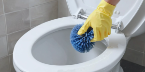 How to Prevent Toilet Bowl Build-Up with Regular Cleaning