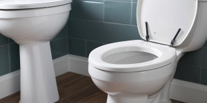 How to Remove Toilet Bowl Stains with Baking Soda and Toilet Cleaner