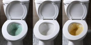 How to Use Toilet Bowl Cleaner for Tough Toilet Stains