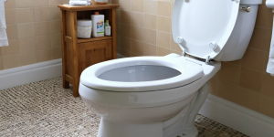 How to Use Toilet Bowl Cleaner to Freshen Up Your Bathroom