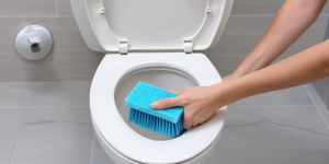 Select The Top Toilet Bowl Cleaners for Smudge-Free Toilets The Top Toilet Bowl Cleaners for Smudge-Free Toilets