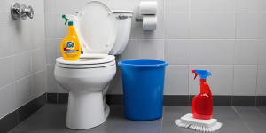 The Benefits of Using Toilet Bowl Cleaner with a Brush