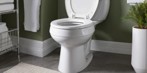The Best Toilet Bowl Cleaner for Homes with Low Water Pressure