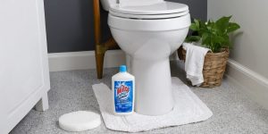 The Best Toilet Bowl Cleaner for a Sparkling White Toilet
