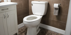 The Pros and Cons of Popular Toilet Bowl Cleaners