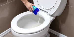 The Top Toilet Bowl Cleaners That Are Safe for Your Toilet