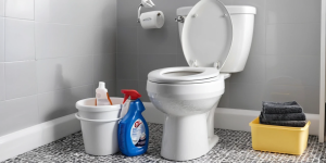 Why You Should Avoid Toxic Toilet Bowl Cleaners