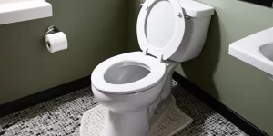 Toilet Mold Remover: How to Get Rid of Mold for Good