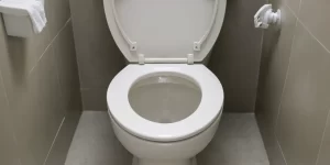 120-Day Toilet Bowl Cleaner: How Long Can It Keep Your Toilet Fresh?