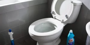 Clear Toilet Cleaner: How to Keep Your Toilet Sparkling Clean