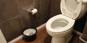 Deep Toilet Bowl Cleaning: A Comprehensive Guide to Thorough Toilet Care