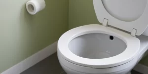 Germicidal Bowl Cleaner: How to Keep Your Toilet Bacteria-Free