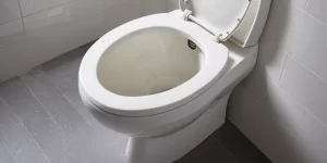 Limescale in Toilet Bowl: How to Remove and Prevent Build-Up