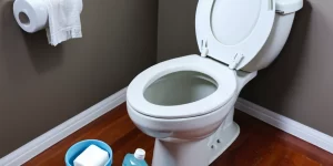 Non-Bleach Toilet Cleaner: A Safer Alternative for Your Home
