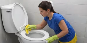 Snow Bowl Cleaner: A Fresh and Effective Toilet Cleaner