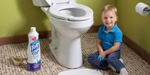 Toilet Hard Stain Remover: The Best Products for Tough Stains
