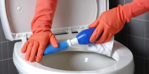 Best Disposable Toilet Bowl Cleaner: Convenient and Effective for Busy Households