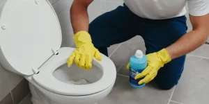 Cleaning Grout with Toilet Bowl Cleaner: Does It Work?