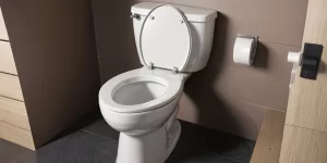 CLR in Toilet Bowl: A Comprehensive Review and User Guide
