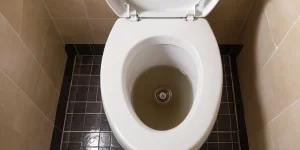 Drain Liquid for Toilet: How to Clear Your Toilet’s Drain Effectively