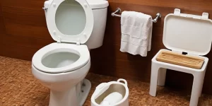 Natural Toilet Cleaner: Eco-Friendly Solutions for a Fresh Bathroom