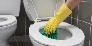 Self-Cleaning Toilet Bowl Cleaner: Is It Worth the Hype?