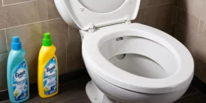 Best Toilet Bowl Freshener: Keep Your Toilet Smelling Great