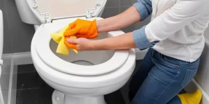 Bowl Sparkle Toilet Cleaner: How to Keep Your Toilet Sparkling Clean