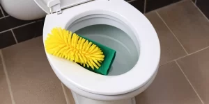 Effervescent Toilet Bowl Cleaner: A Fun and Effective Way to Clean Your Toilet