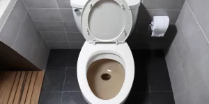 Hard Water Stain in Toilet Bowl: How to Clean It Effectively