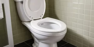 Keeping Toilet Bowl Clean: Tips and Products That Actually Work
