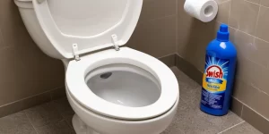 Swish Toilet Bowl Cleaner: How to Keep Your Toilet Fresh with Every Flush
