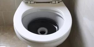 Toilet Bowl Flush Cleaner: Ensure Your Toilet Flows Smoothly