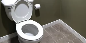 Toilet Rim Jet Cleaner: How to Keep Your Toilet Rim Spotless