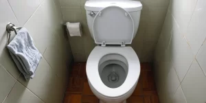 Baking Soda in Toilet Tank: How to Keep Your Toilet Fresh and Clean