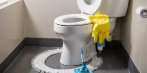 Best Toilet Bowl Cleaner for Mold: How to Get Rid of Mold and Keep Your Toilet Safe