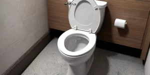 Best Toilet Rim Cleaner: How to Keep Your Toilet Rim Spotless