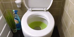 Cleaning Limescale from Toilet Bowl: Effective Methods for a Sparkling Clean